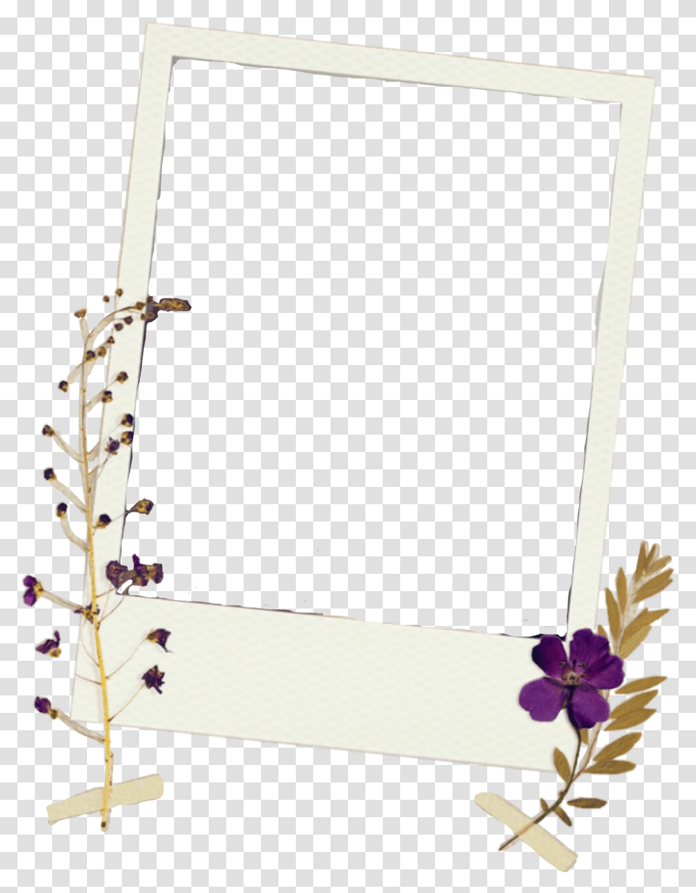 Frame Polaroid Picture Flowers Tape Vintage Cute Floral Design, Plant, Bow, Vase, Jar Transparent Png