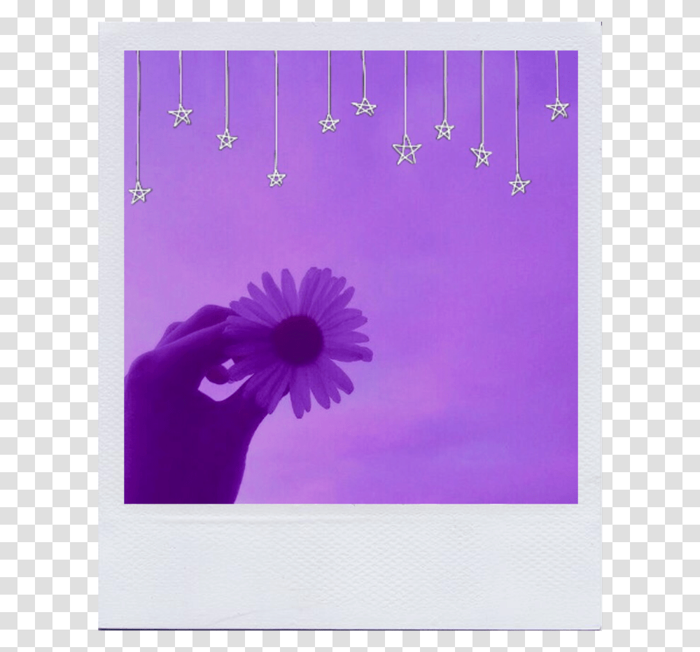 Frame Purple Aesthetic Tumblr Aesthetic Purple Picture Frame, Envelope, Mail, Greeting Card, Plant Transparent Png