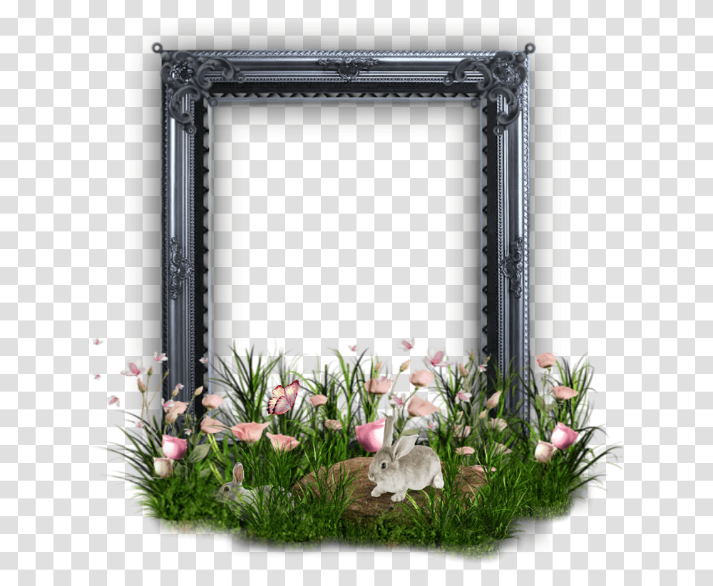 Frame Rabbit Picture Free Picture Bouquet, Plant, Flower, Blossom, Mirror Transparent Png