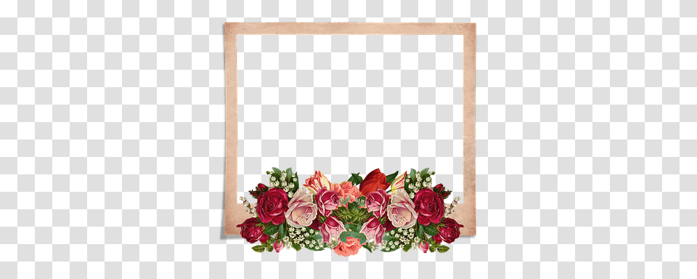 Frame Rose Nature, Plant, Flower, Blossom Transparent Png