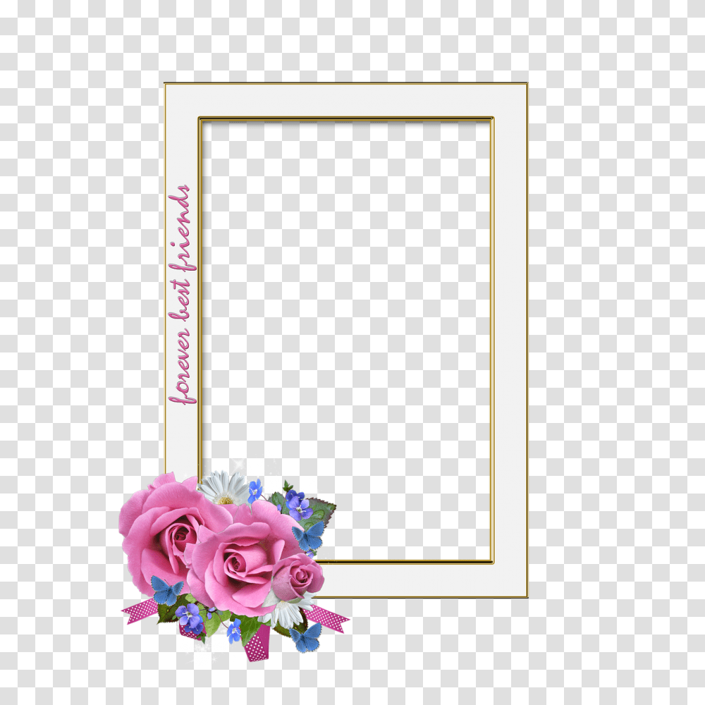 Frame Roses Best Friends Free Image On Pixabay Pink And Blue Rose, Graphics, Art, Floral Design, Pattern Transparent Png