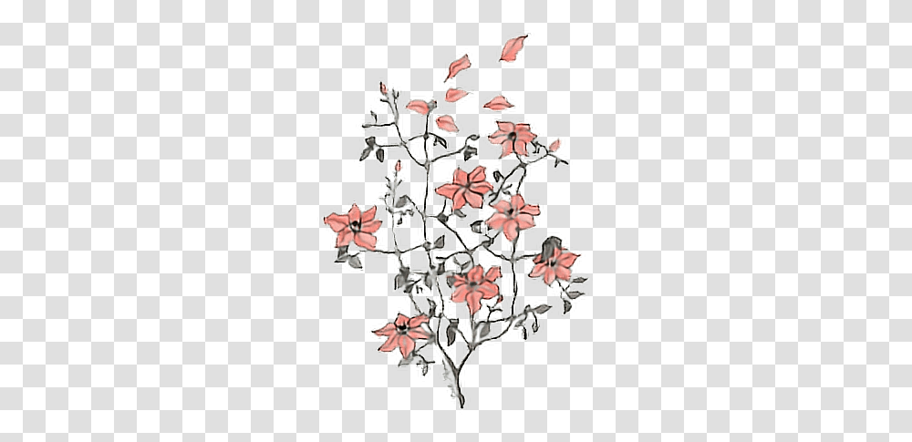 Frame Tumblr Photo Photography Foto Overlay Free Flowers Drawing Tumblr, Snowflake, Pattern, Plant, Blossom Transparent Png