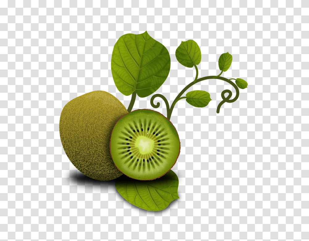 Framed Art For Your Wall Kiwi Fruit Fruits Vegetables Plants, Food, Green Transparent Png