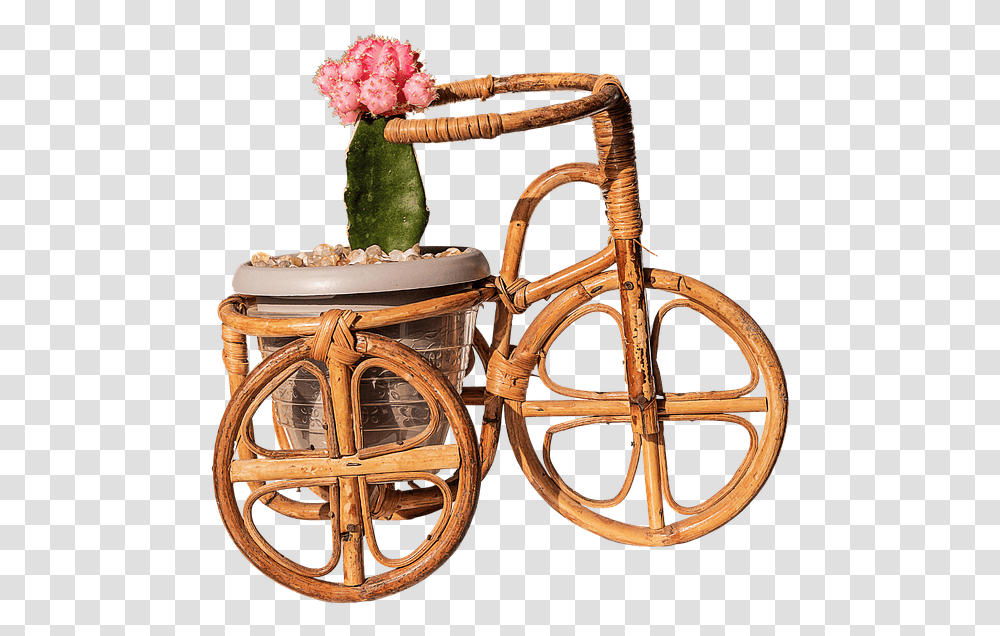 Framed Art For Your Wall Trim Cactus Bamboo Bike Graft Bicicleta De Jardim, Plant, Potted Plant, Vase, Pottery Transparent Png