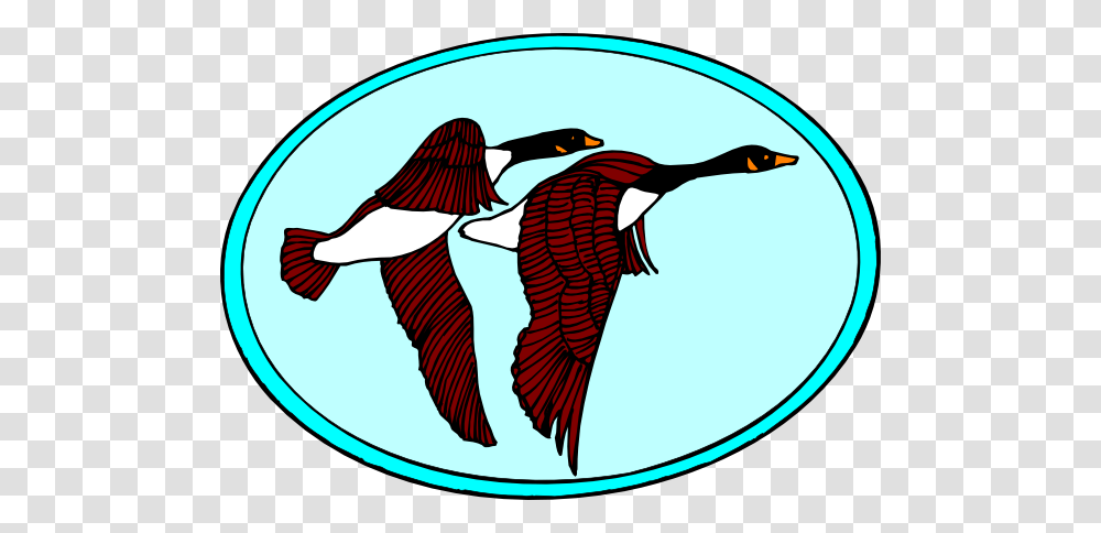 Framed Flying Geese Clip Art For Web, Bird, Animal, Penguin, Waterfowl Transparent Png