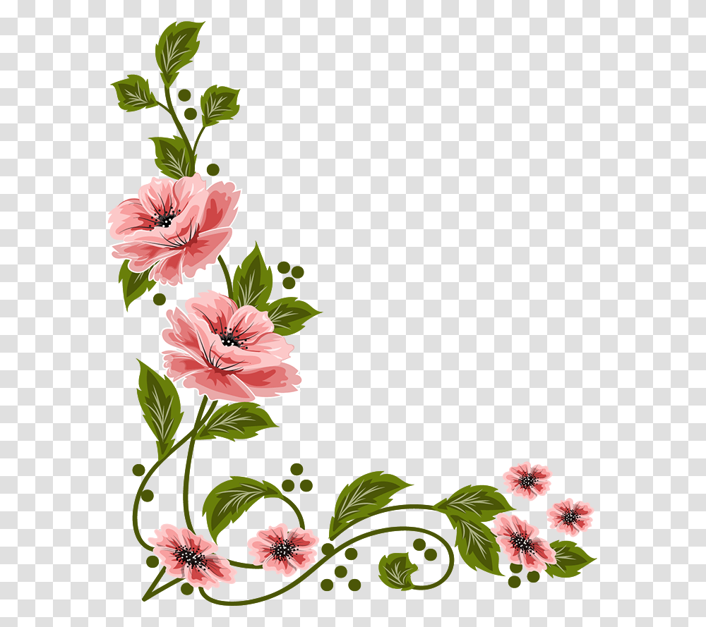Frames And Boarders Flowers, Plant, Blossom, Hibiscus Transparent Png