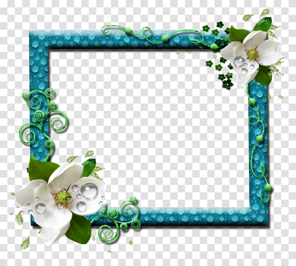 Frames Design, Plant, Flower Transparent Png