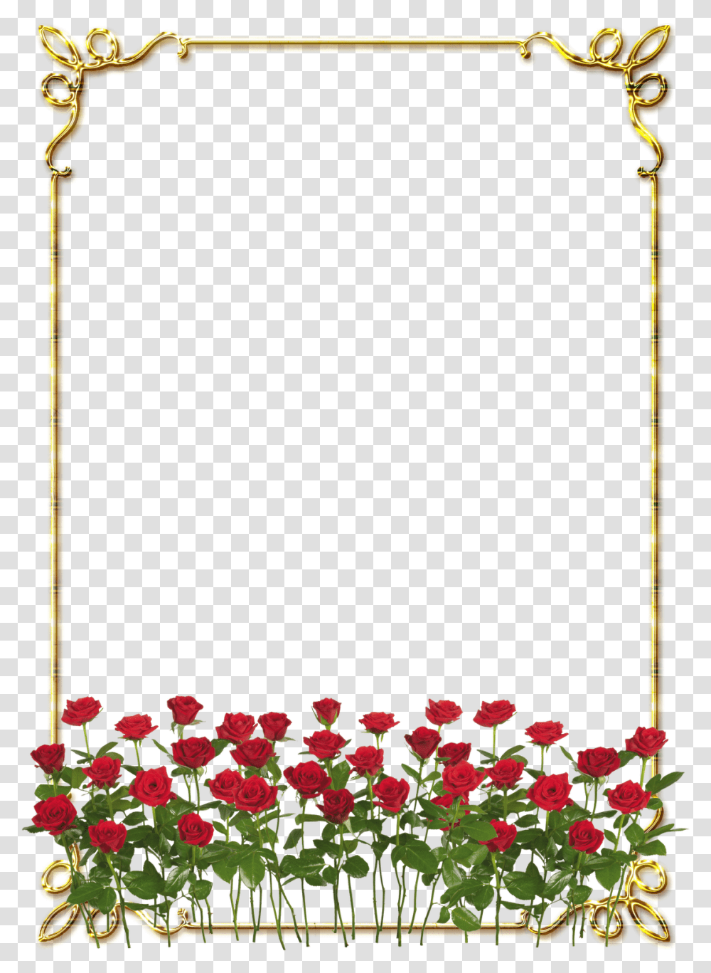 Frames Douradas Com Rosa Vermelhas, Plant, Flower, Blossom, Petal Transparent Png