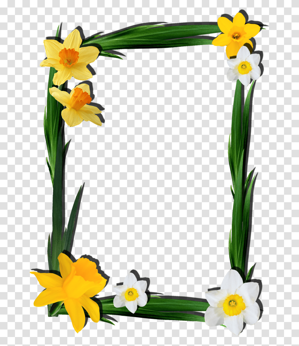 Frames For Photoshop Free Frame For Photoshop, Plant, Flower, Blossom, Daffodil Transparent Png