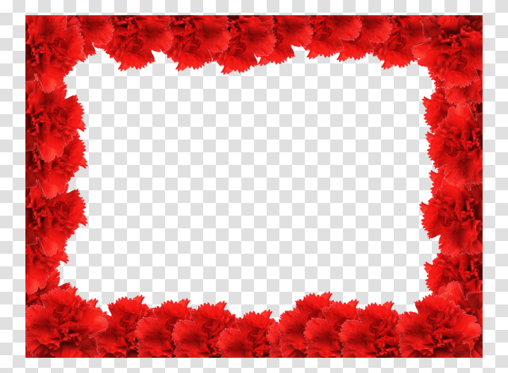 Frames Frame, Plant, Flower, Blossom, Geranium Transparent Png