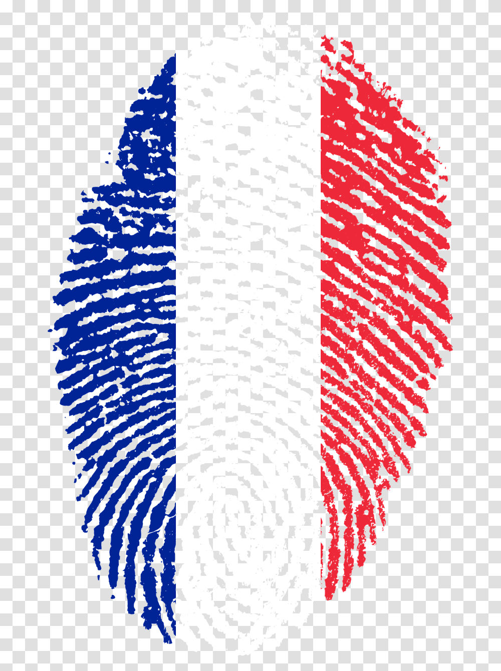 France France Flag Fingerprint Country Pride Iden France France Flag Fingerprint, Rug, Panther, Animal Transparent Png