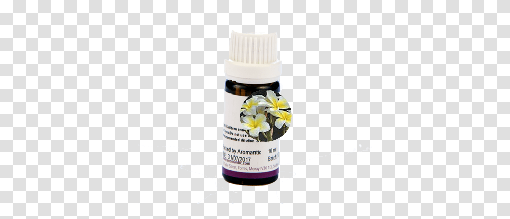 Frangipani Absolute Frangipani Flower, Label, Plant, Jar, Bottle Transparent Png
