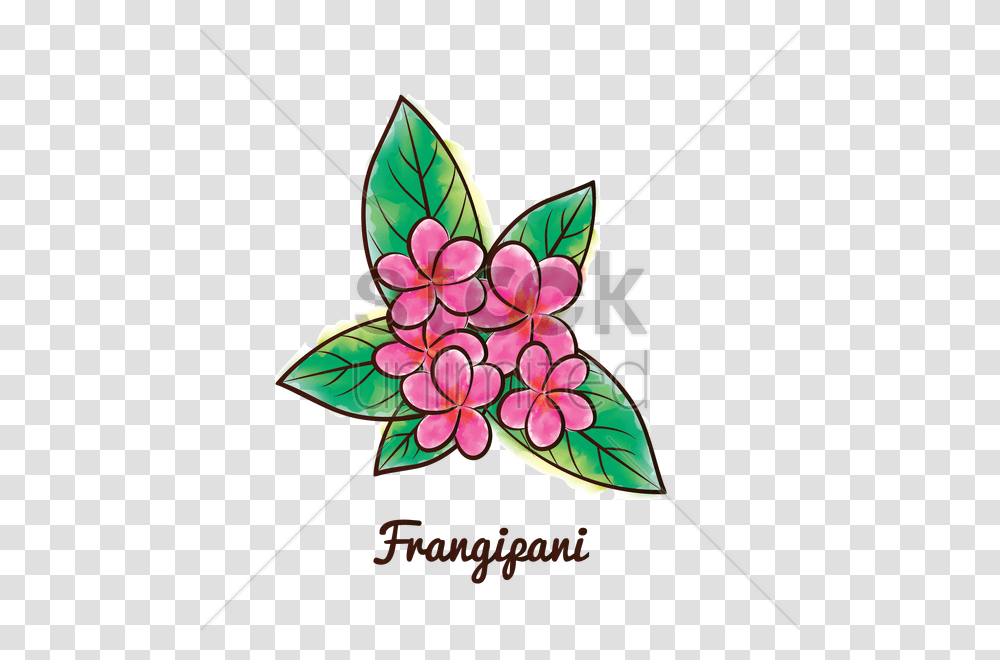 Frangipani Flower Vector Image, Pattern, Ornament, Floral Design Transparent Png