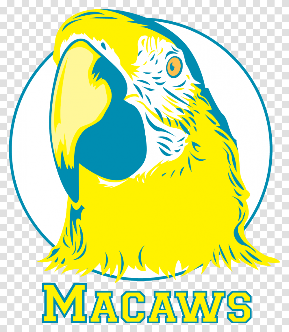 Frank Augustus Miller Middle School Macaw, Bird, Animal, Poster, Advertisement Transparent Png
