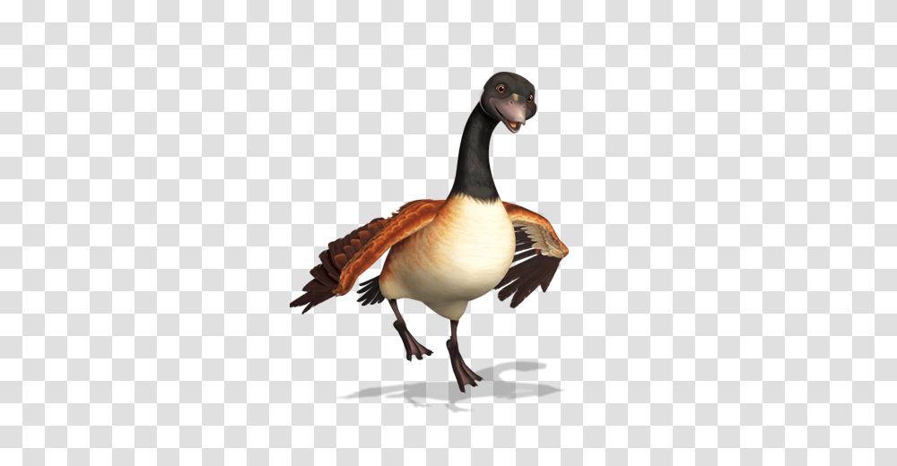 Franklin And Friends Goose, Bird, Animal, Duck, Waterfowl Transparent Png