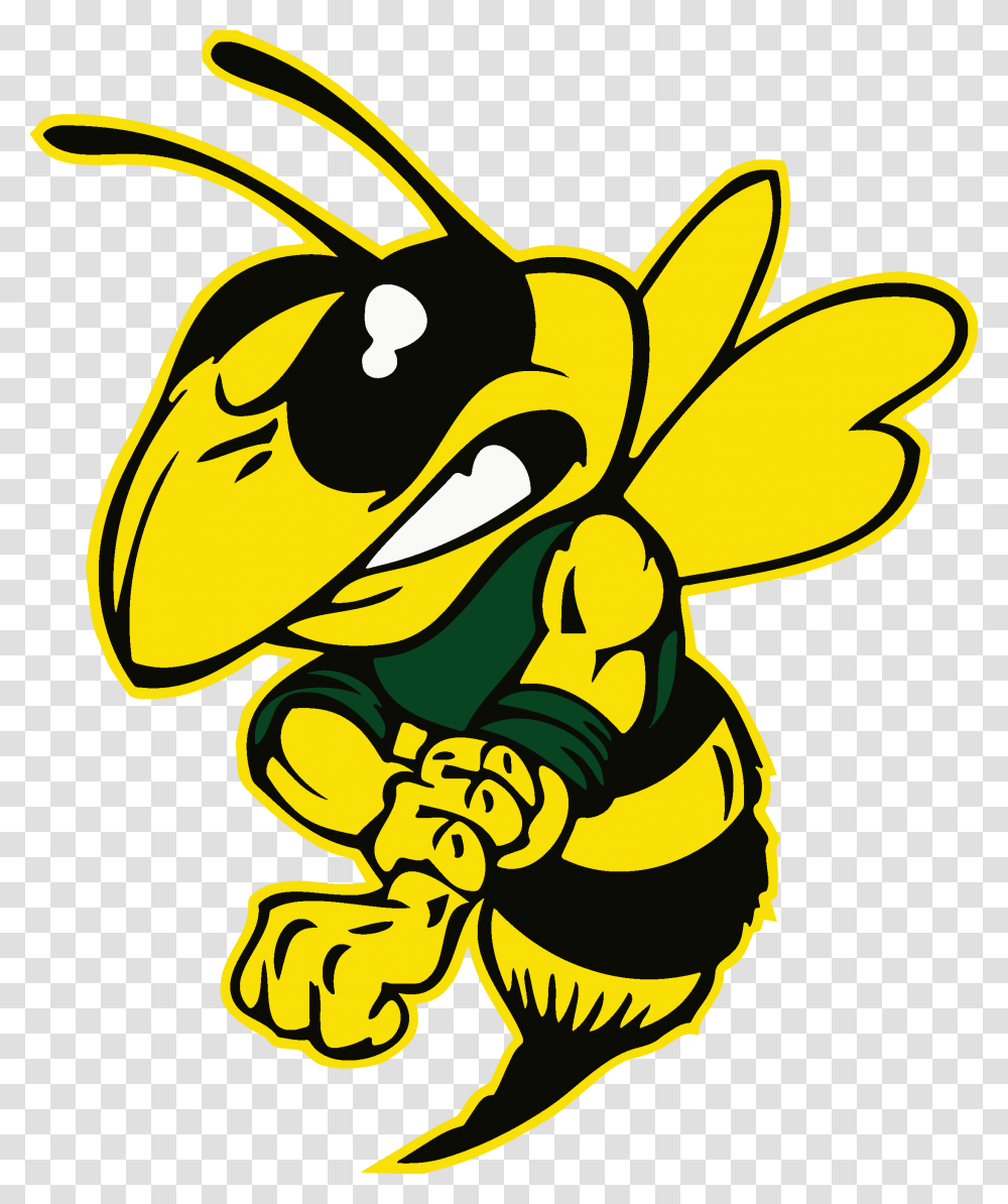 Franklin High Homepage, Wasp, Bee, Insect, Invertebrate Transparent Png