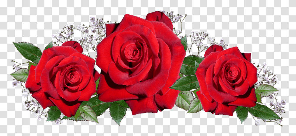 Frases Bonitas Para Da De La Madre Transparents Romantic Love, Rose, Flower, Plant, Blossom Transparent Png