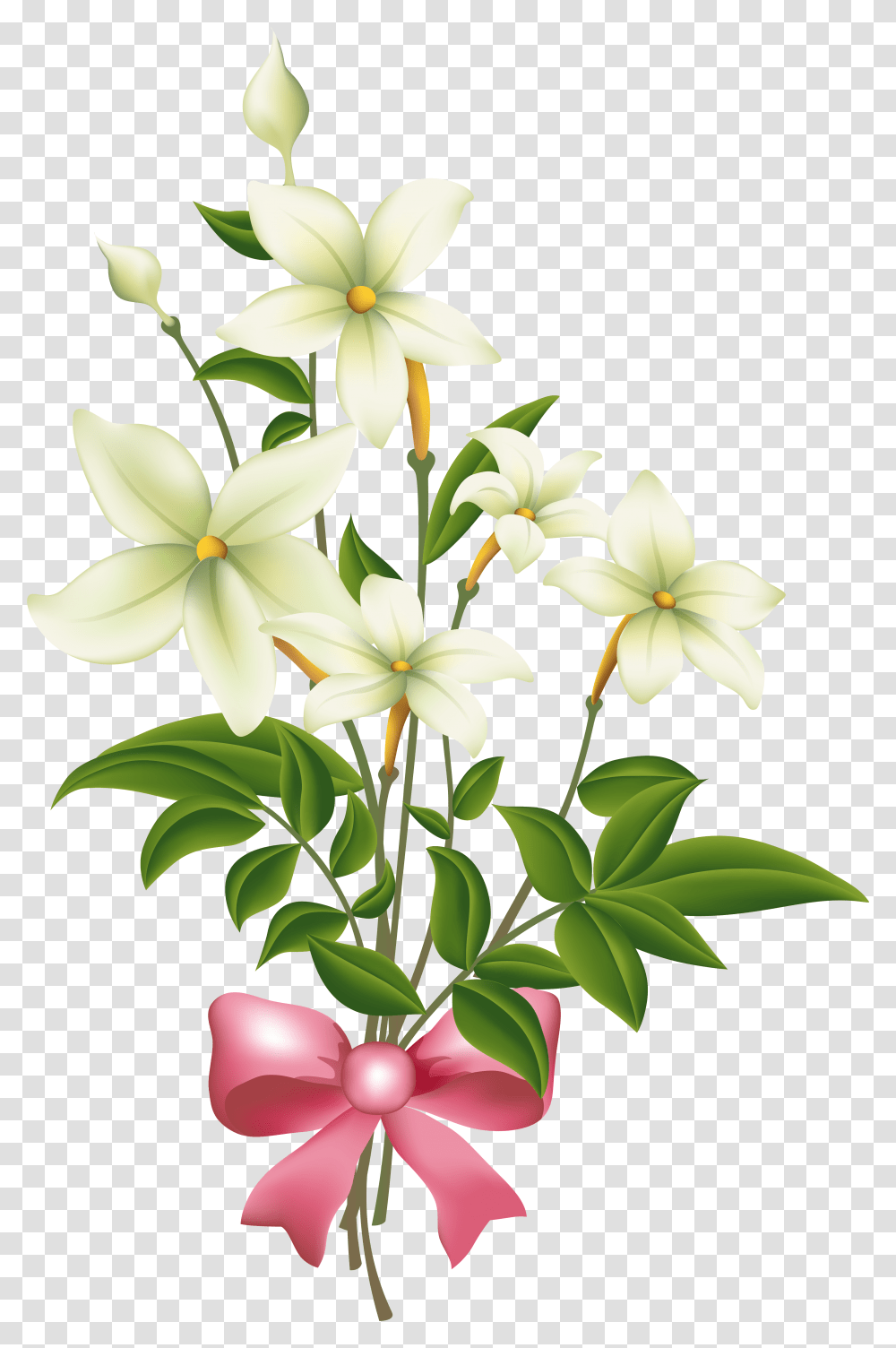 Frauengruppe Clipart Of Flowers White With Pink Bow Green, Plant, Blossom, Amaryllidaceae, Lily Transparent Png