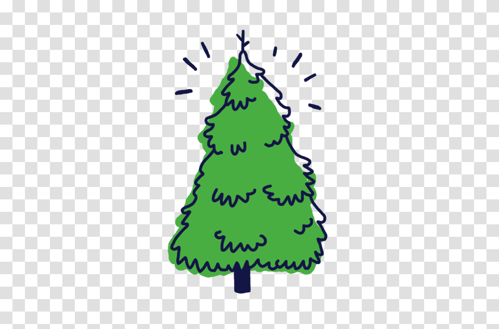 Frazier Fir Christmas Tree Clipart, Plant, Ornament Transparent Png