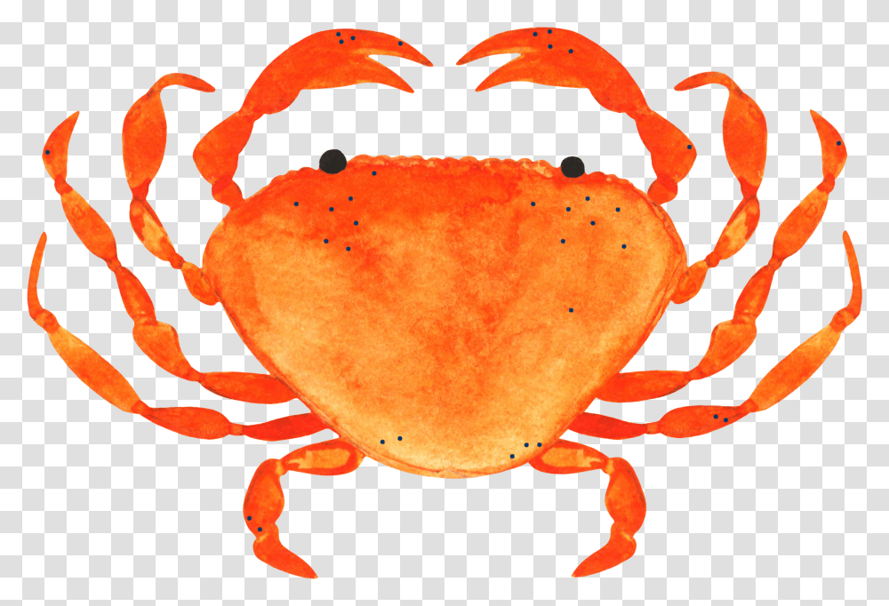 Freckled Crab, Seafood, Sea Life, Animal, Fungus Transparent Png