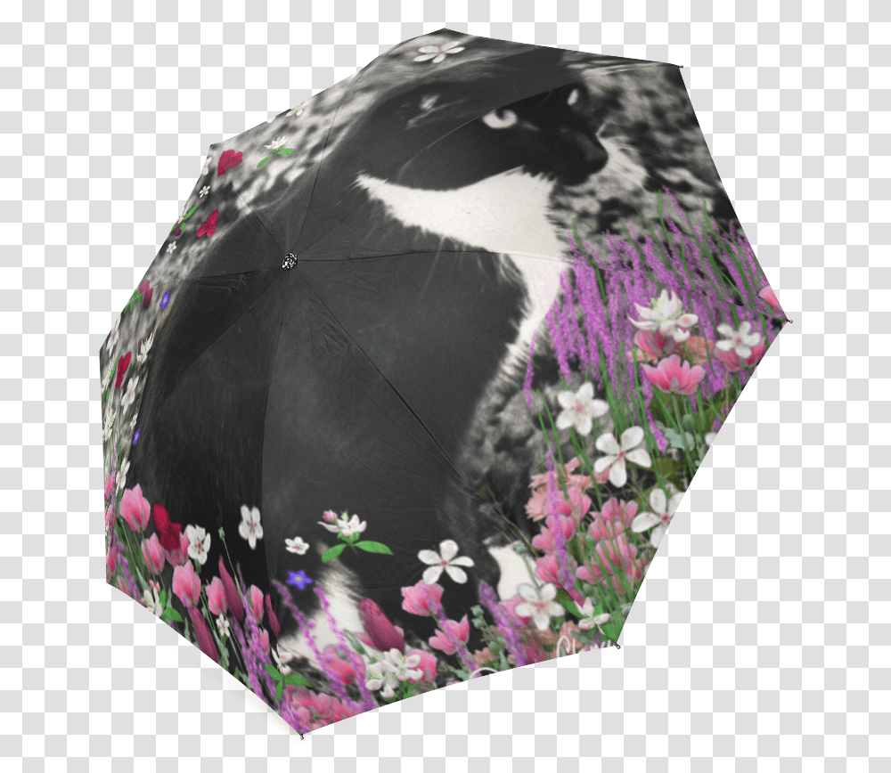 Freckles In Flowers Ii Black White Tuxedo Cat Foldable, Apparel, Bird, Animal Transparent Png