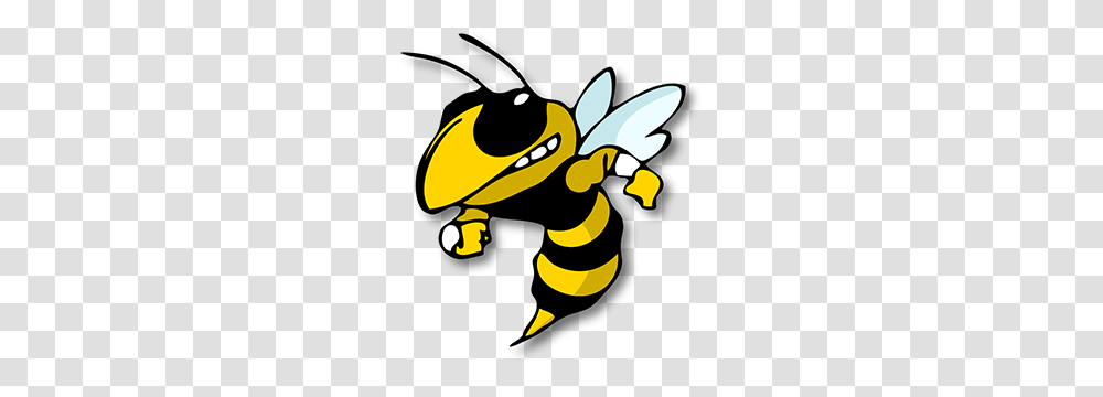 Fred M Lynn Grade Back To School Nightnew Woodbridge, Insect, Invertebrate, Animal, Wasp Transparent Png