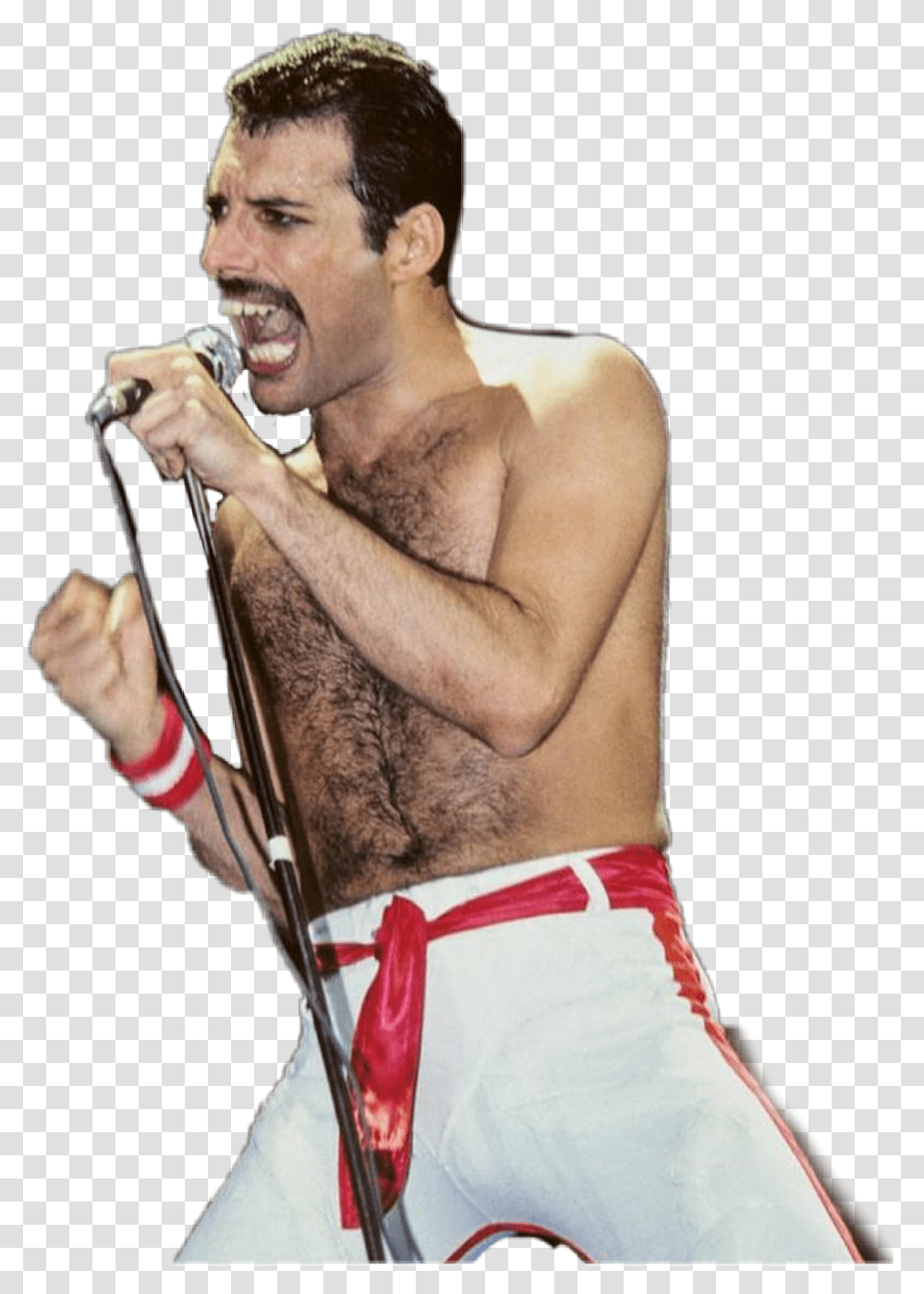 Freddie Mercury Background, Skin, Person, Hand, Man Transparent Png