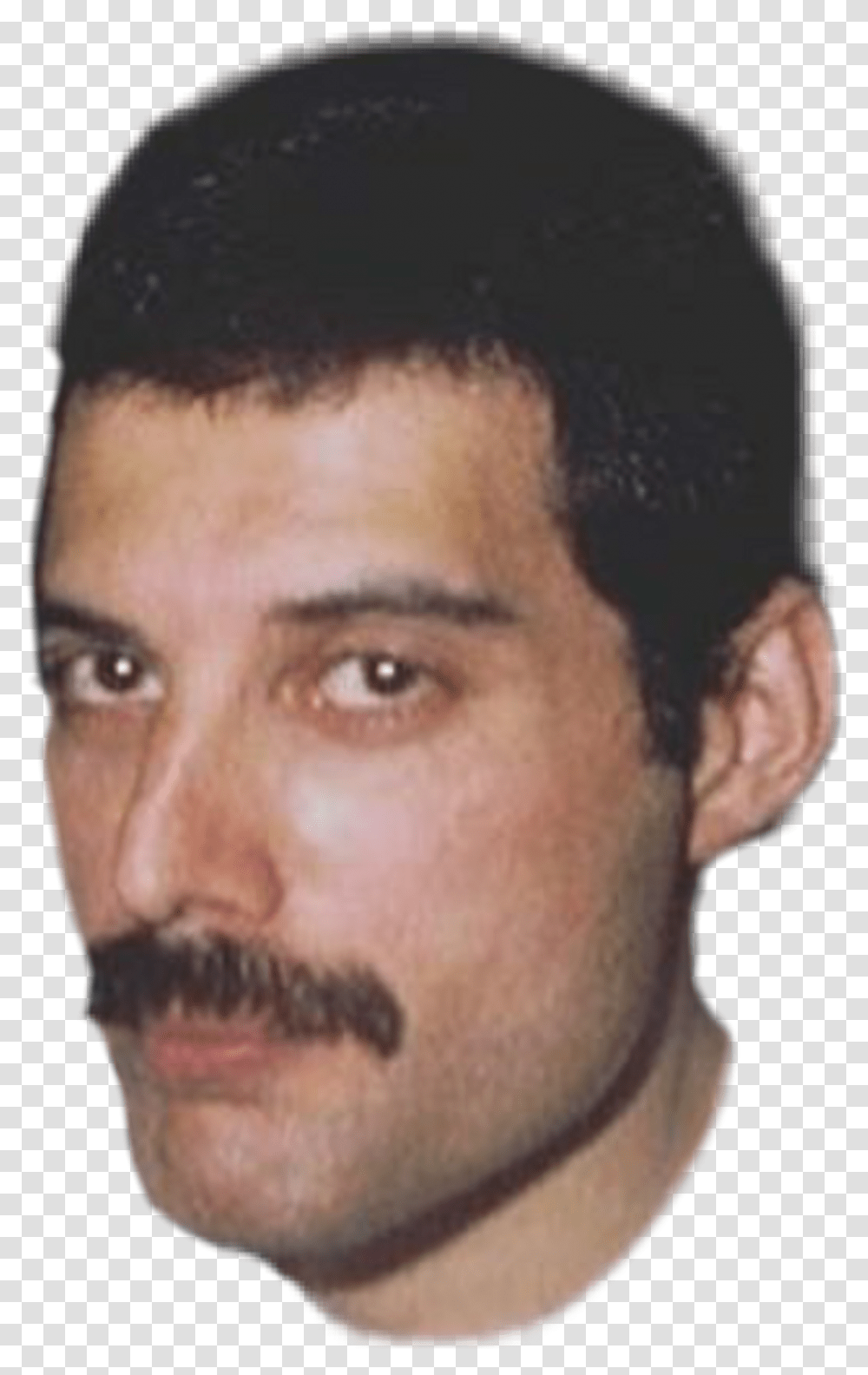 Freddie Mercury Freddie Mercury Face, Person, Human, Mustache, Head Transparent Png