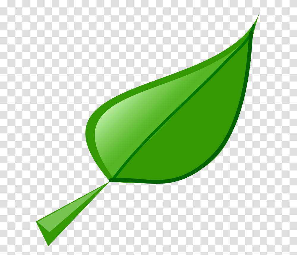 Fredoguy Leaf, Nature, Plant, Green, Sprout Transparent Png