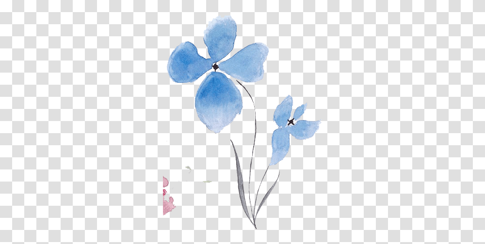 Free Abstract Watercolor Flowers Vector - Images Drawn Flowers In Color, Plant, Blossom, Petal, Iris Transparent Png