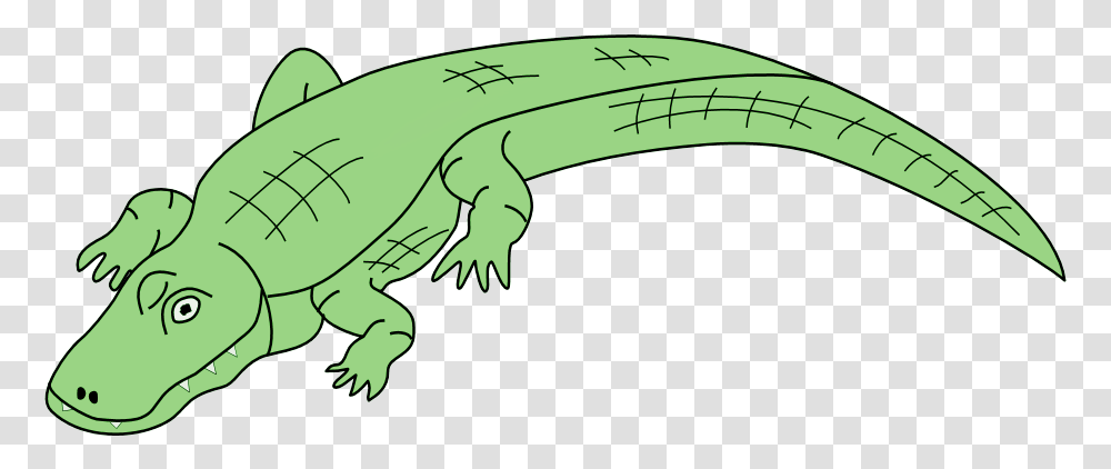 Free Alligator Images Image Clipart Alligator Clip Art, Reptile, Animal, Lizard, Green Lizard Transparent Png
