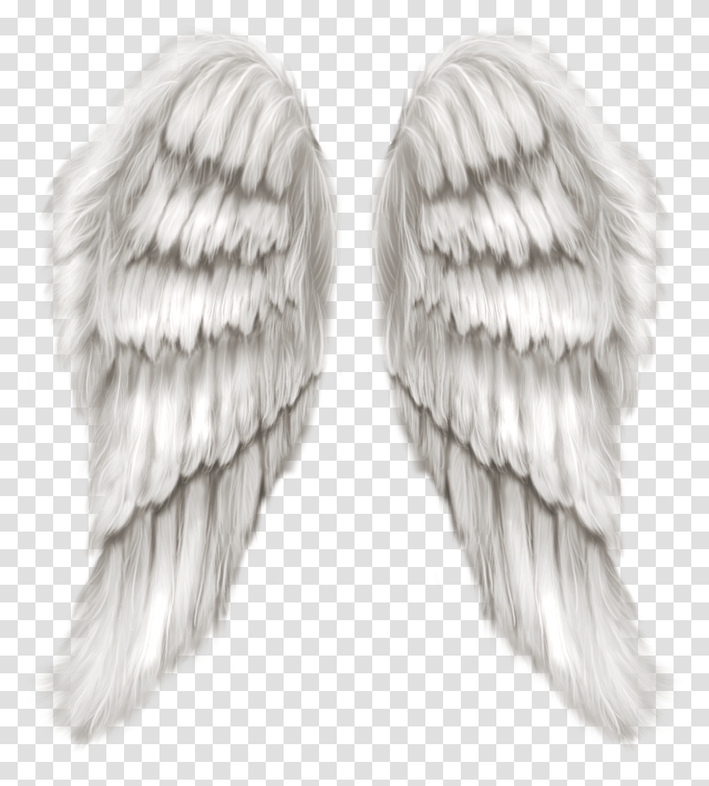 Free Angel Wing, Bird, Animal, Archangel Transparent Png