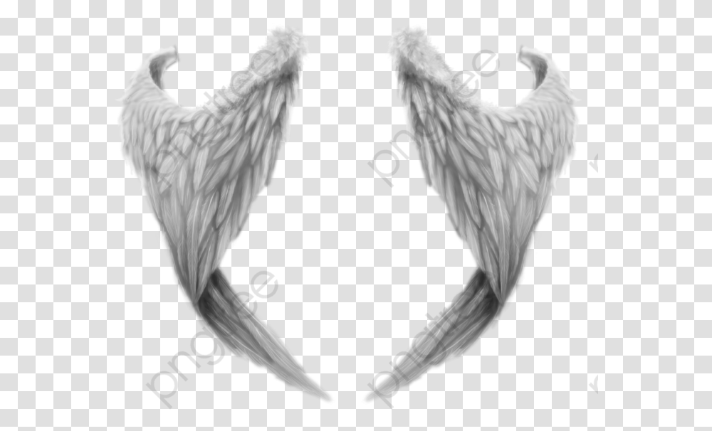 Free Angel Wings, Chicken, Poultry, Fowl, Bird Transparent Png