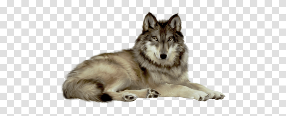 Free Animal Cliparts Wolf, Mammal, Dog, Pet, Canine Transparent Png