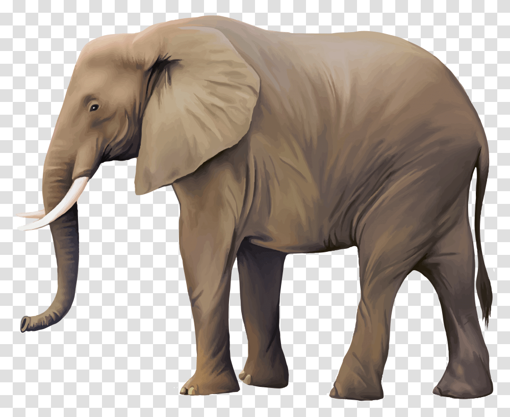 Free Animal Download Illustrator Vector Animal, Mammal, Elephant, Wildlife, Ivory Transparent Png