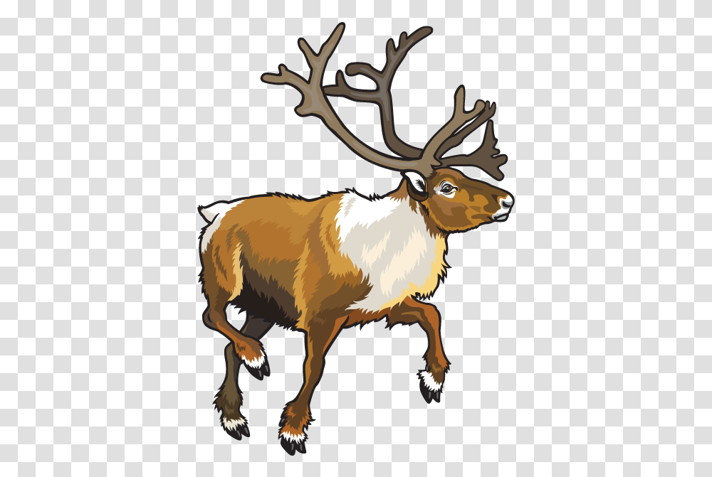 Free Animal Konfest, Cow, Cattle, Mammal, Elk Transparent Png