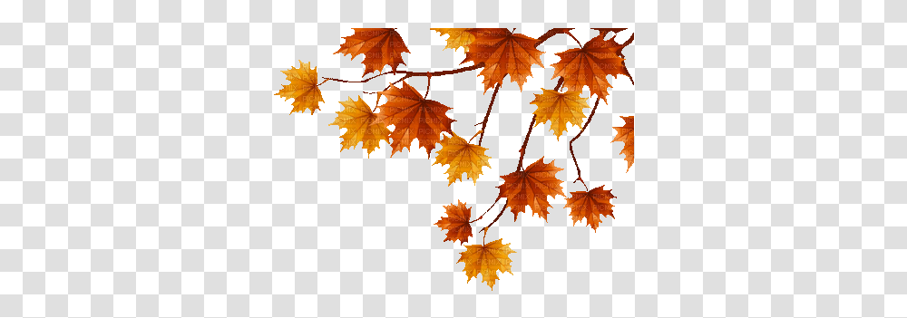 Free Animated Autumn Leaves Clipart Autumn Leaf Gif, Plant, Tree, Maple, Maple Leaf Transparent Png