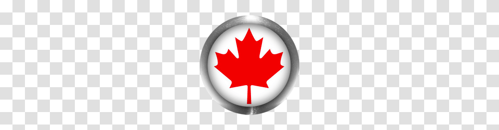 Free Animated Canadian Flags, Leaf, Plant, Tree, Maple Leaf Transparent Png