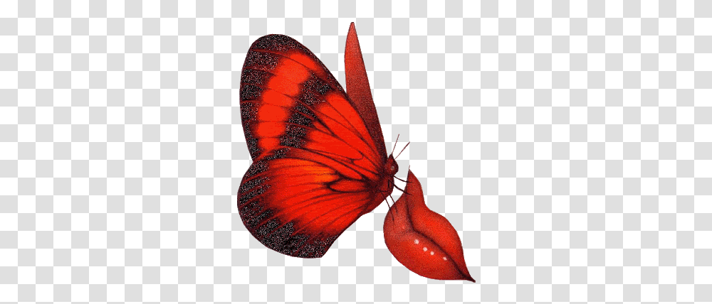 Free Animation Animated Butterfly Love Good Morning Animation, Insect, Invertebrate, Animal Transparent Png