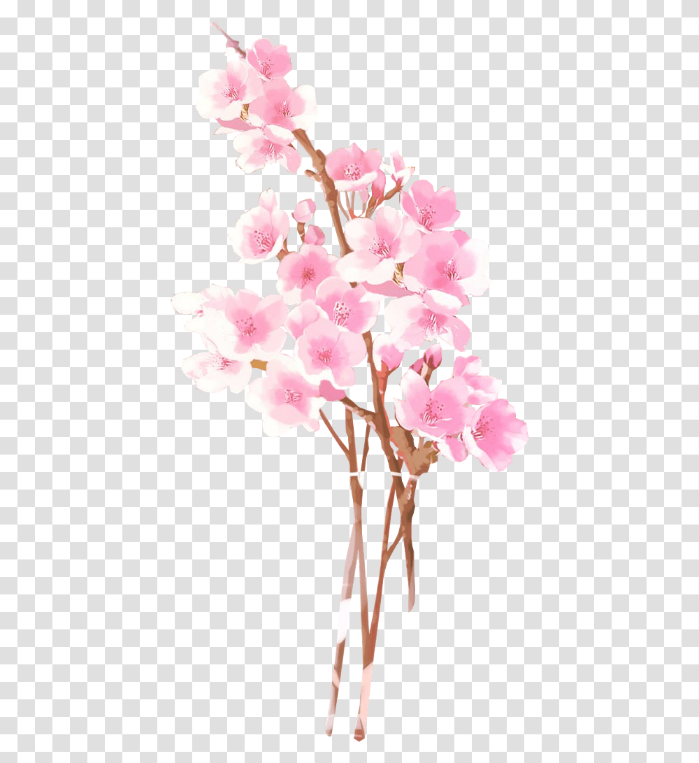 Free Anime Flower Cherry Blossom Anime, Plant Transparent Png