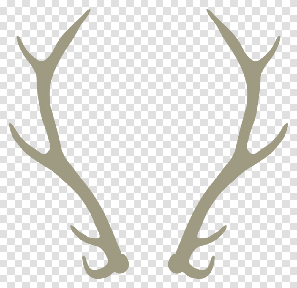 Free Antler Vector Vector Free Download On Heypik Transparent Png