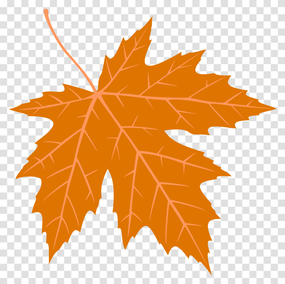 Free Autumn Leaves Falling, Leaf, Plant, Tree, Maple Transparent Png