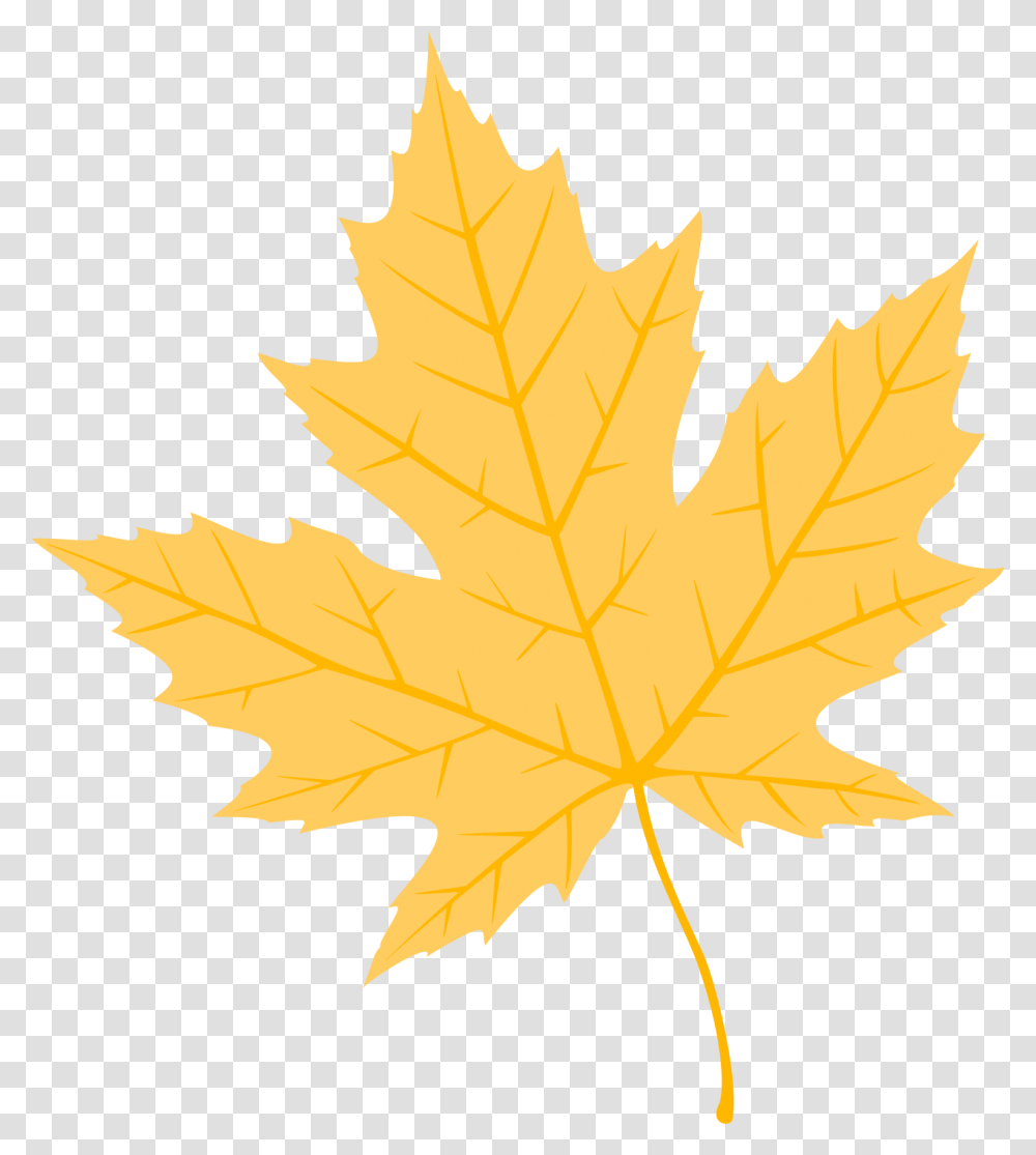 Free Autumn Leaves Konfest, Leaf, Plant, Tree, Maple Leaf Transparent Png
