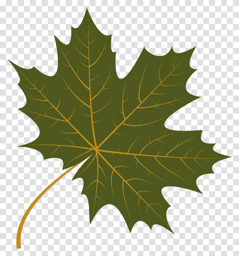 Free Autumn Leaves Konfest, Leaf, Plant, Tree, Maple Transparent Png