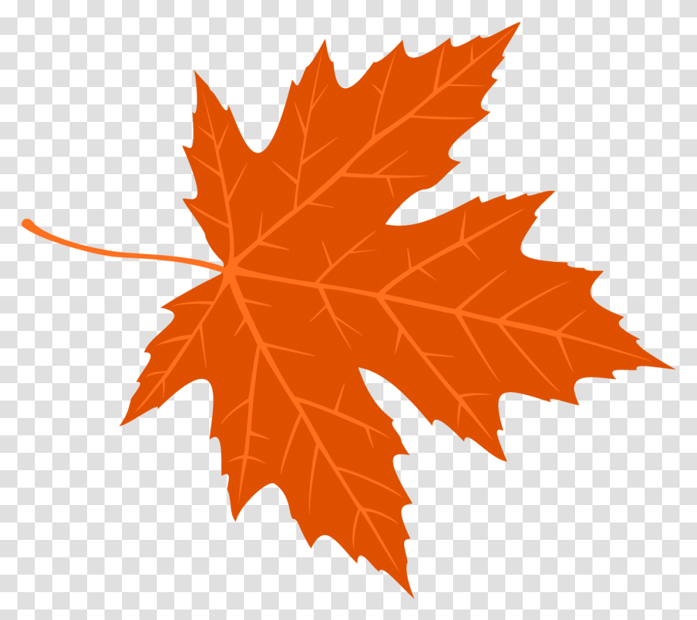 Free Autumn Leaves Konfest, Leaf, Plant, Tree, Maple Transparent Png