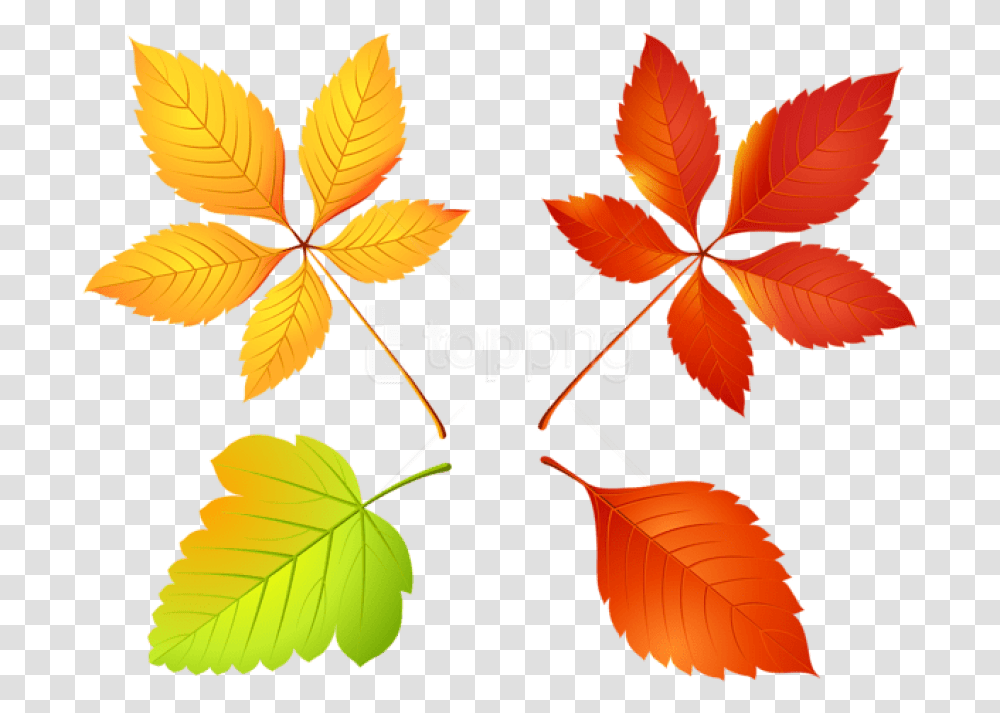 Free Autumn Leaves Set Clipart Photo List Osen, Leaf, Plant, Tree, Maple Leaf Transparent Png