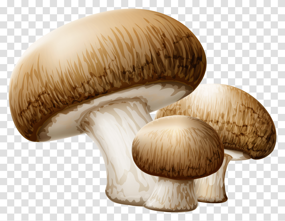 Free Autumn Mushroom Transparent Png