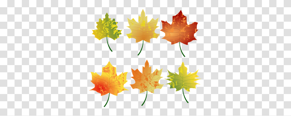 Free Autumn & Fall Vectors Pixabay Leaves Clipart Autumn, Leaf, Plant, Maple Leaf, Tree Transparent Png