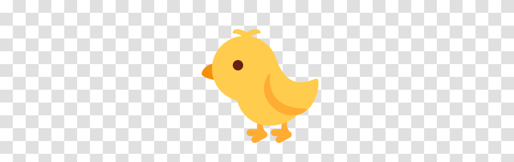 Free Baby Chick Chicken Food Animal Meat Icon Download, Bird, Fowl, Poultry, Hen Transparent Png