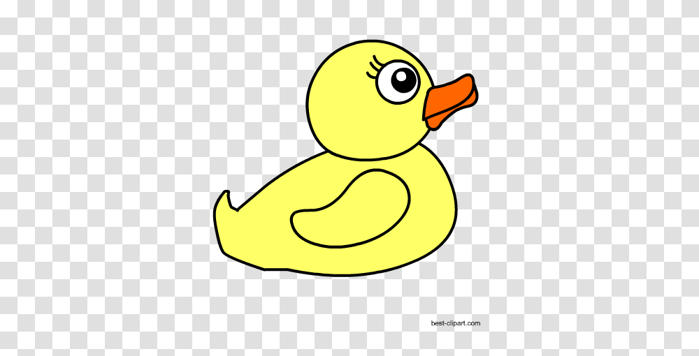 Free Baby Shower Clip Art, Duck, Bird, Animal, Waterfowl Transparent Png